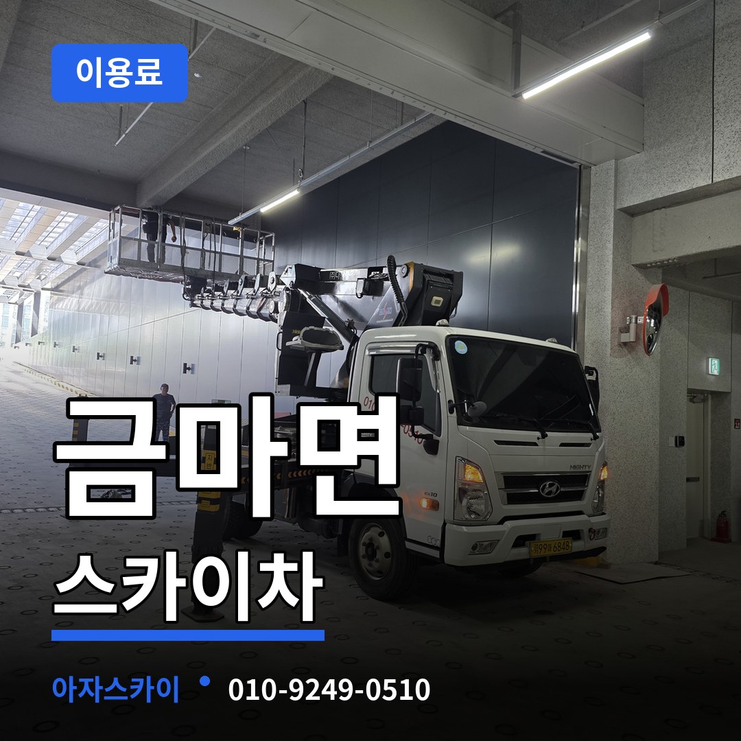 충남 홍성군 금마면 스카이차 이용료