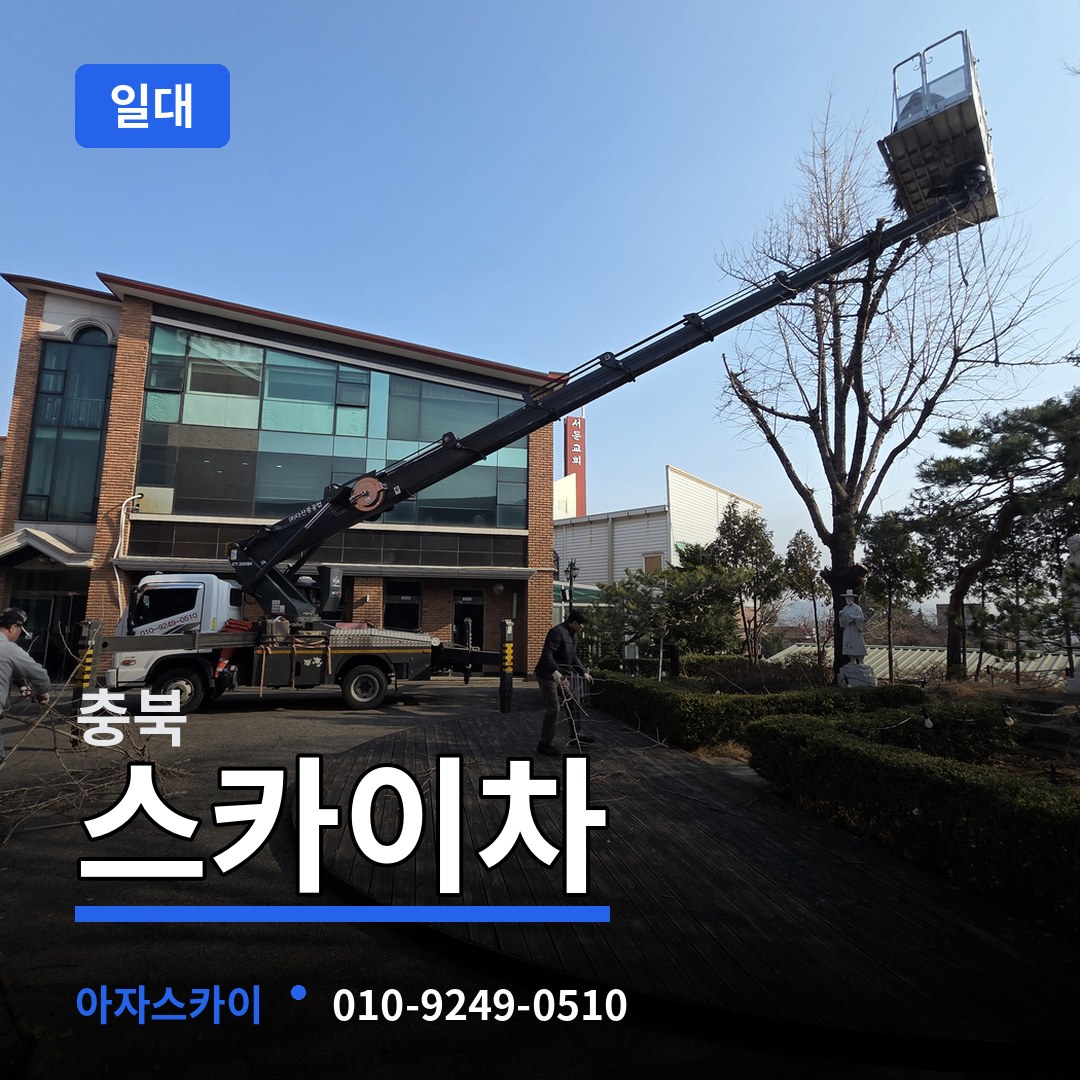 충북 스카이차 일대
