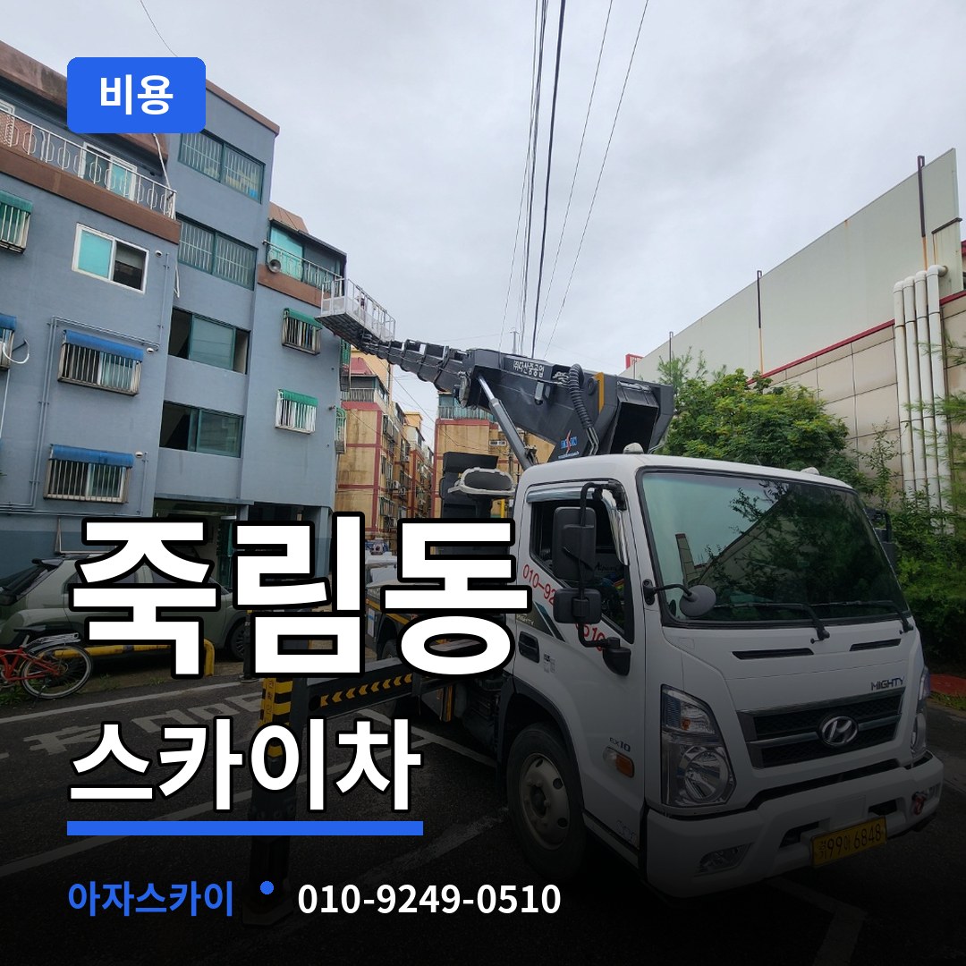 충북 청주시 죽림동 스카이차 비용