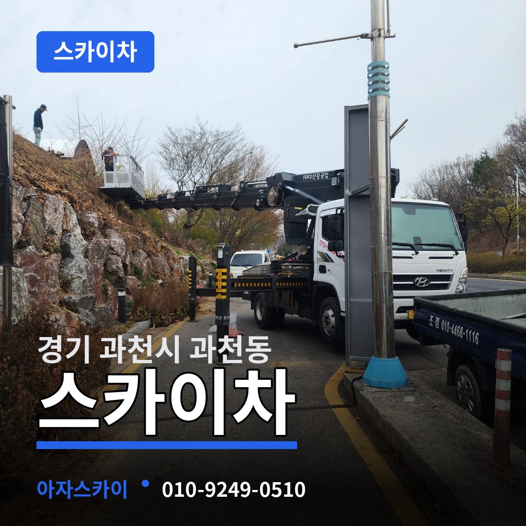 경기 과천시 과천동 스카이차