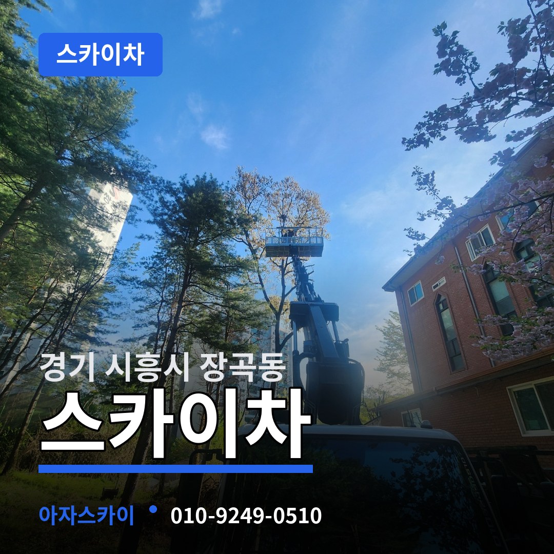 경기 시흥시 장곡동 스카이차