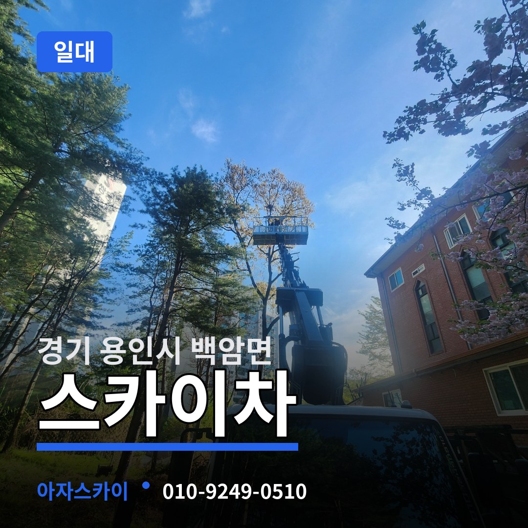 경기 용인시 백암면 스카이차 일대