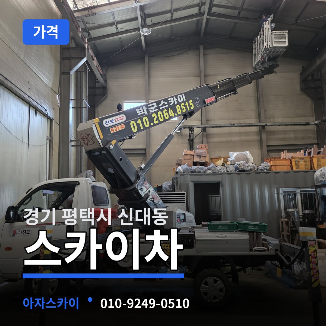 경기 평택시 신대동 스카이차 가격