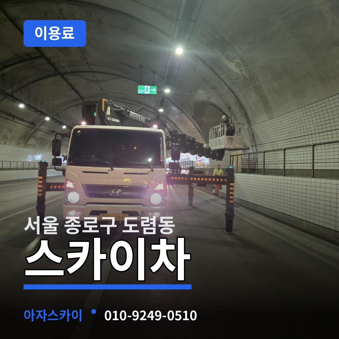 서울 종로구 도렴동 스카이차 이용료