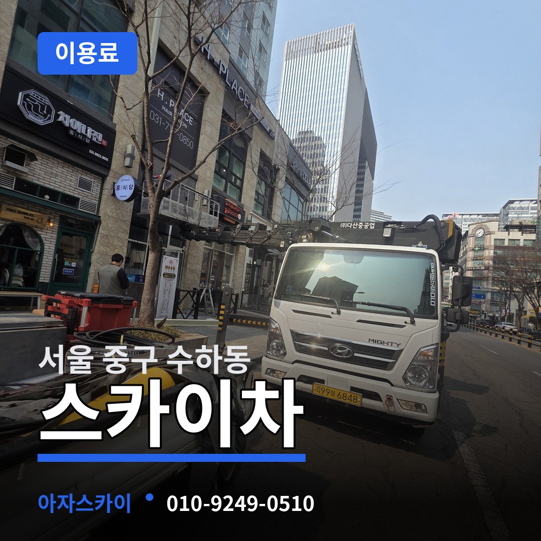 서울 중구 수하동 스카이차 이용료