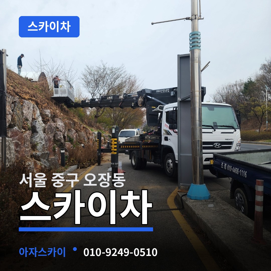 서울 중구 오장동 스카이차