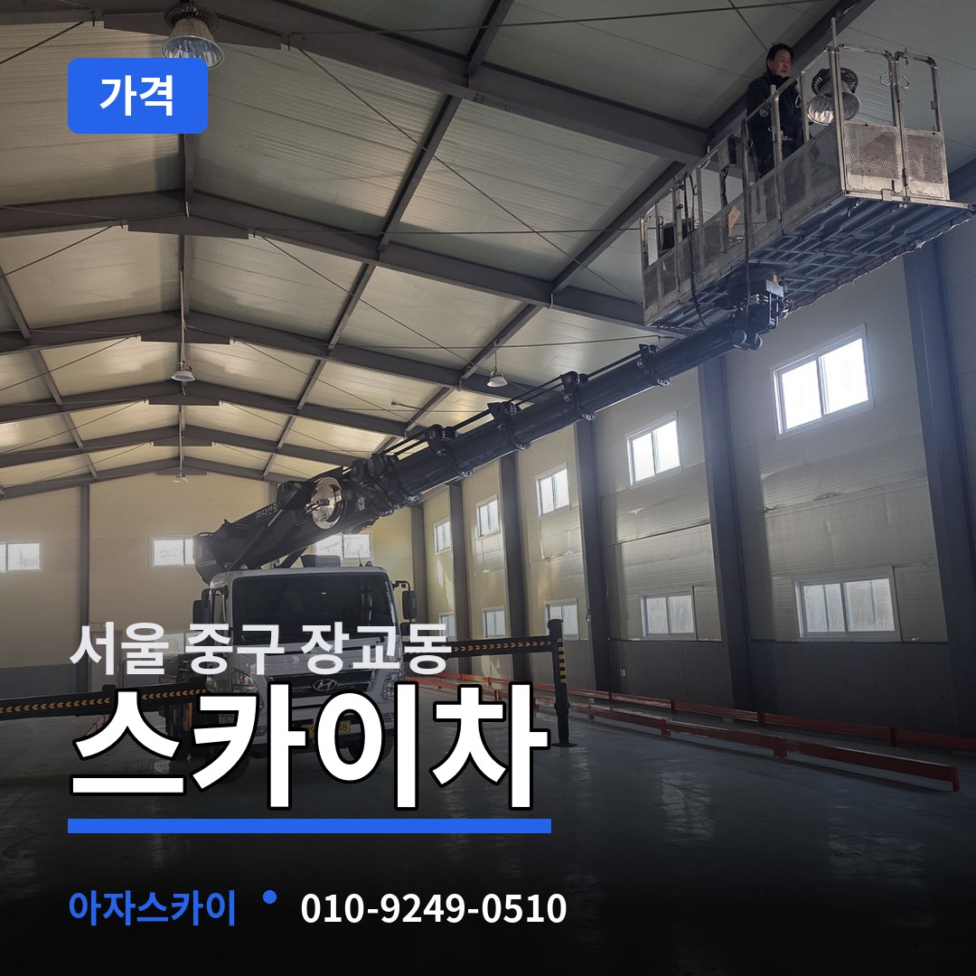 서울 중구 장교동 스카이차 가격