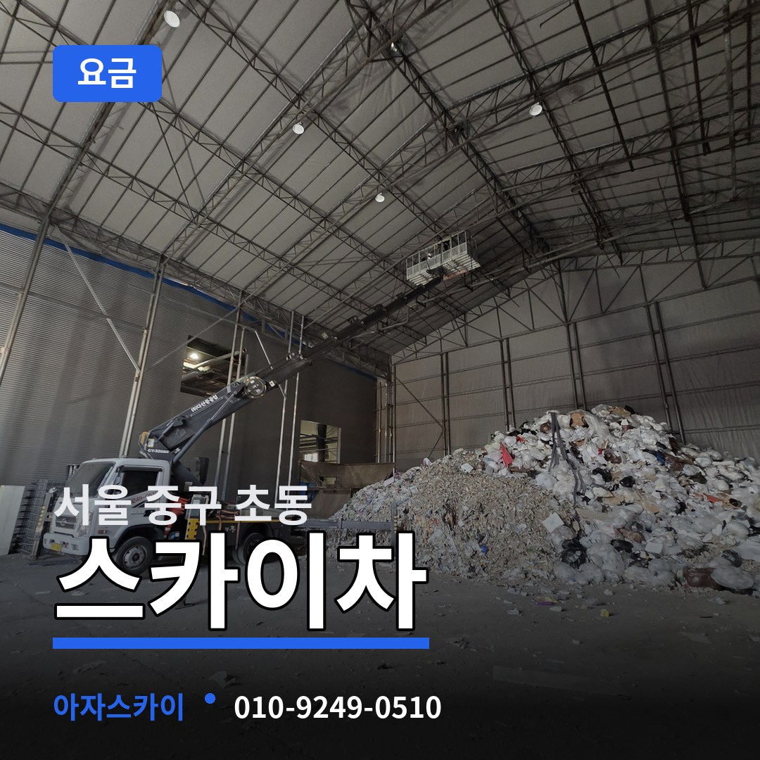 서울 중구 초동 스카이차 요금