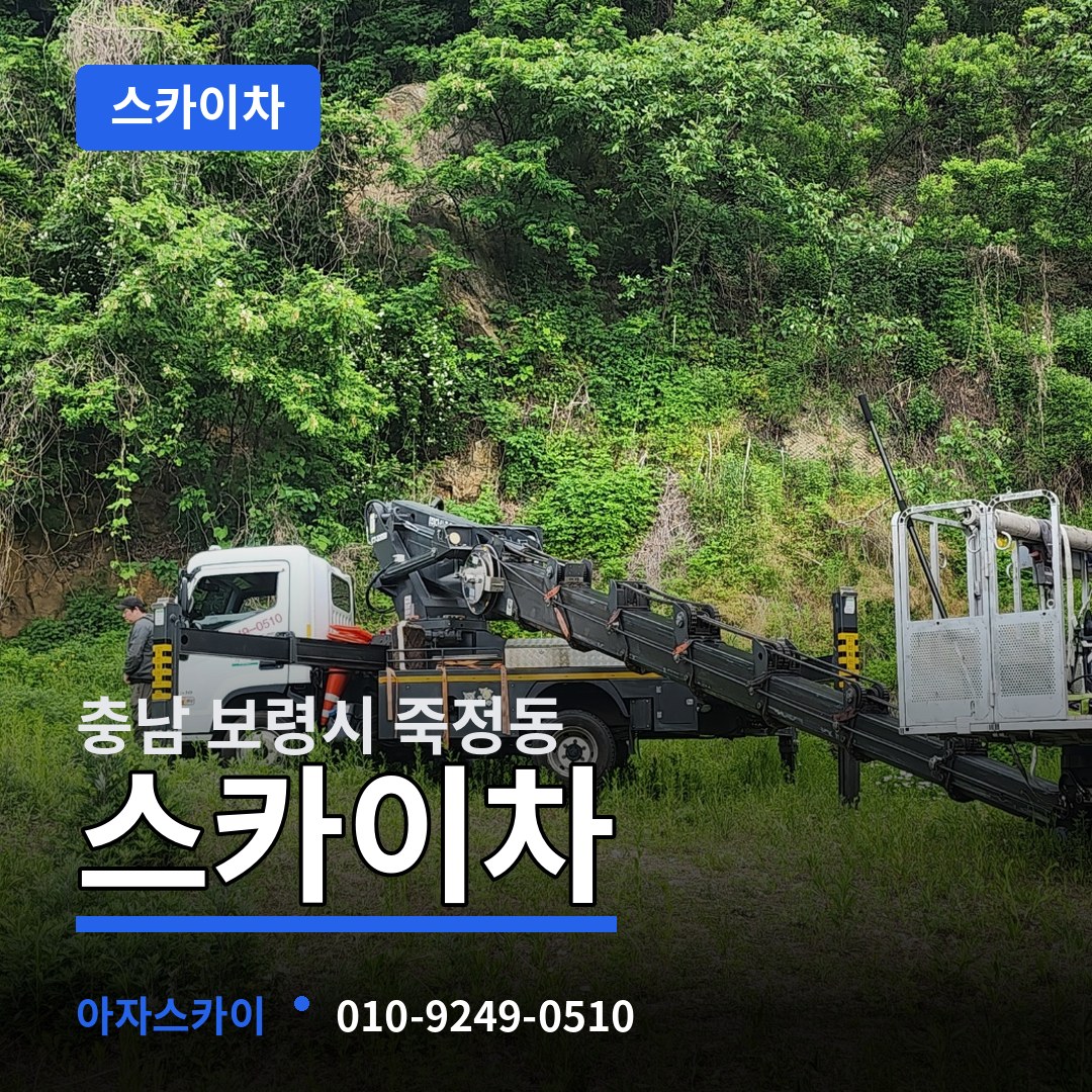 충남 보령시 죽정동 스카이차