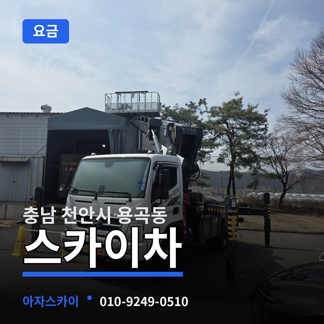 충남 천안시 용곡동 스카이차 요금
